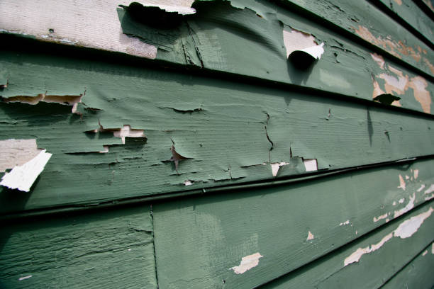 Best Siding Removal and Disposal  in San Miguel, CA
